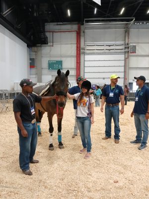 Expo Brasil Paralímpico e REATECH